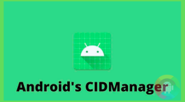 What Is CIDManager
